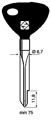 Kreuzbartschlüssel