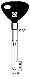 Kreuzbartschlüssel