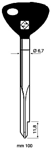 Kreuzbartschlüssel