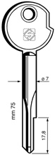 Kreuzbartschlüssel