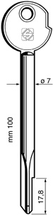 Kreuzbartschlüssel