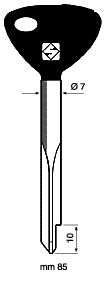 Kreuzbartschlüssel