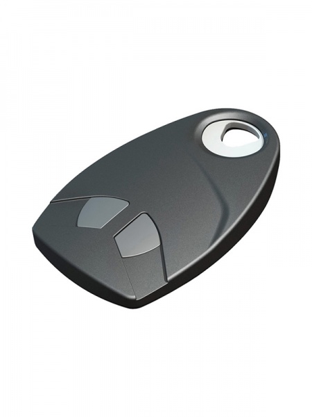 2-Kanal-Handsender