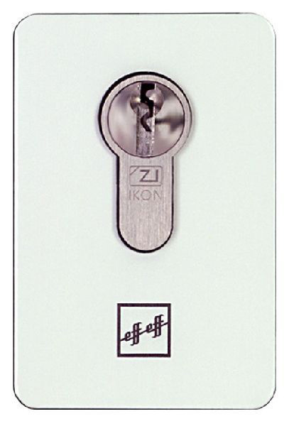 Rosetteneinsatz zu 495-10